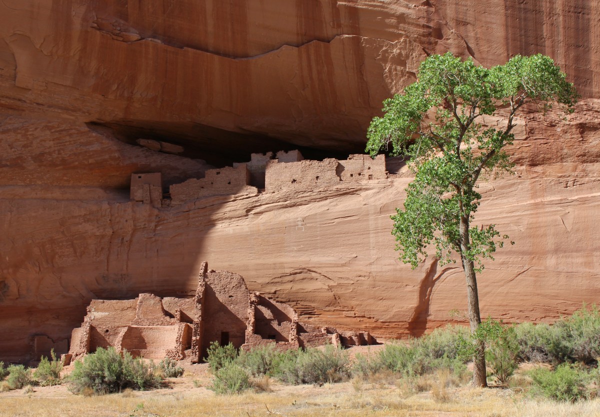 fullsizeoutput_15377