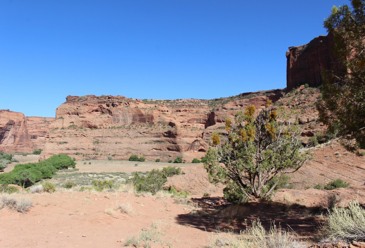 fullsizeoutput_1537a