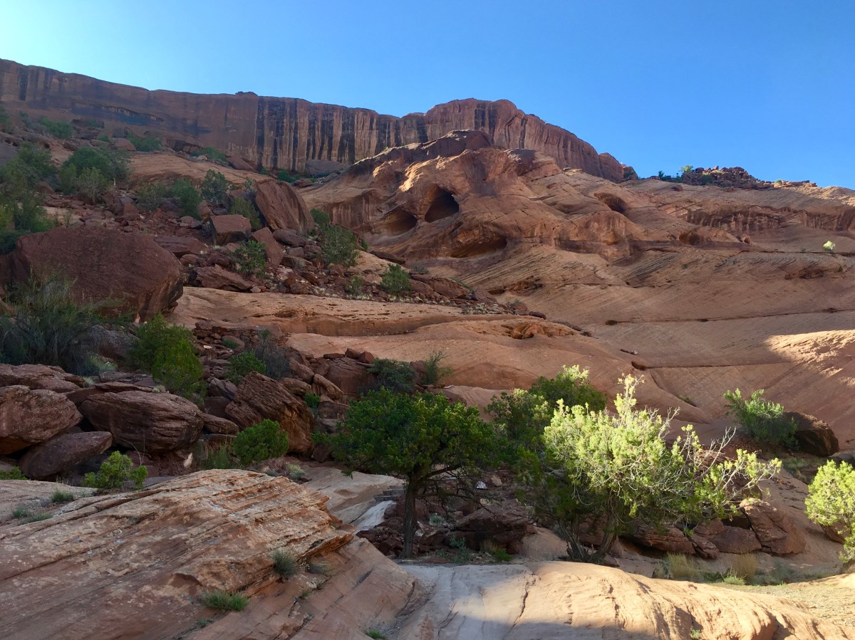 fullsizeoutput_15380