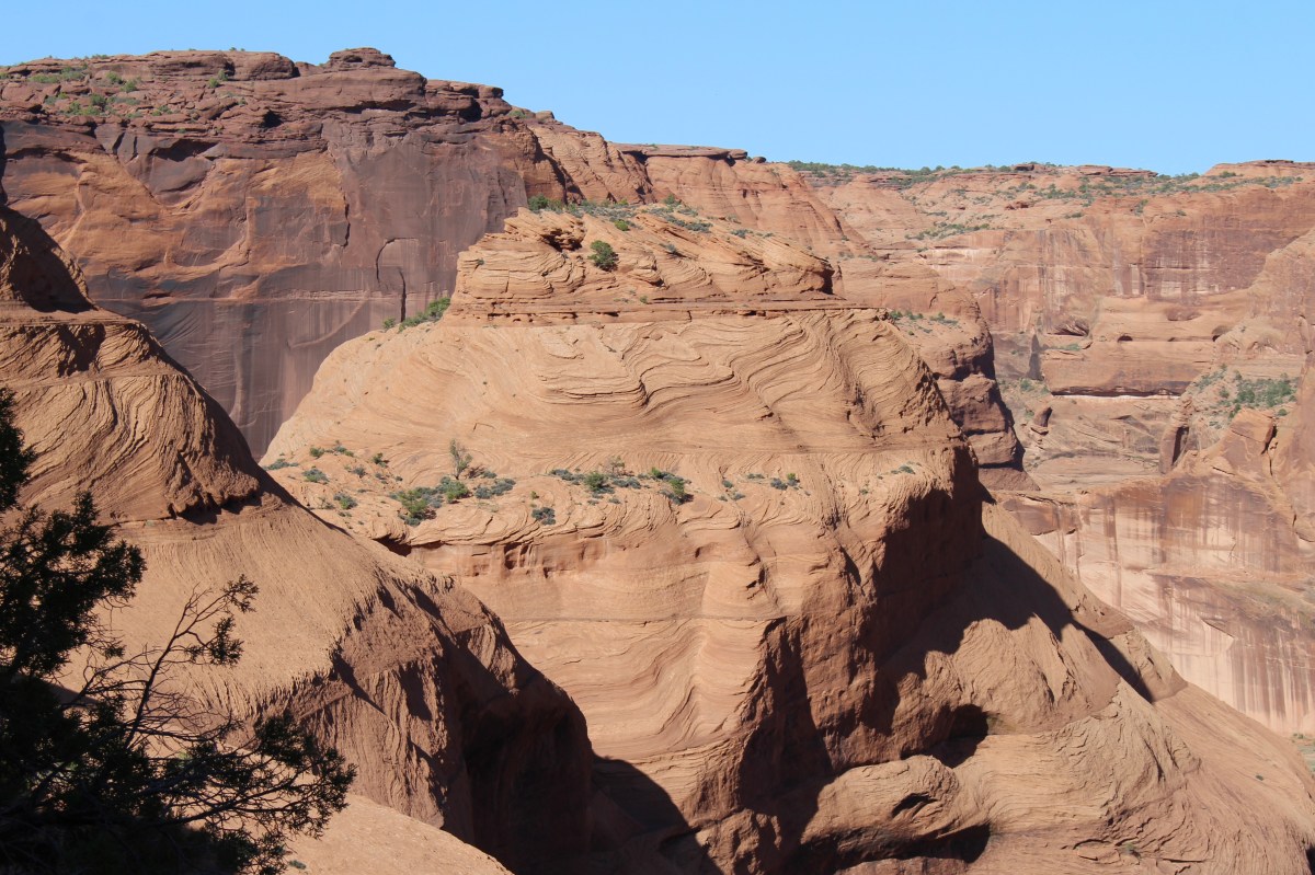 fullsizeoutput_15386