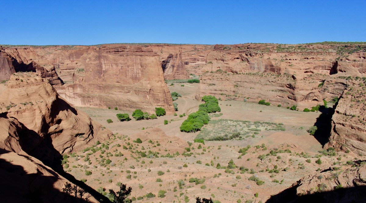 fullsizeoutput_15389