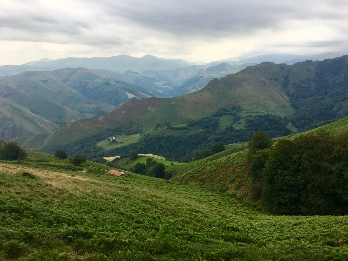 fullsizeoutput_171b6