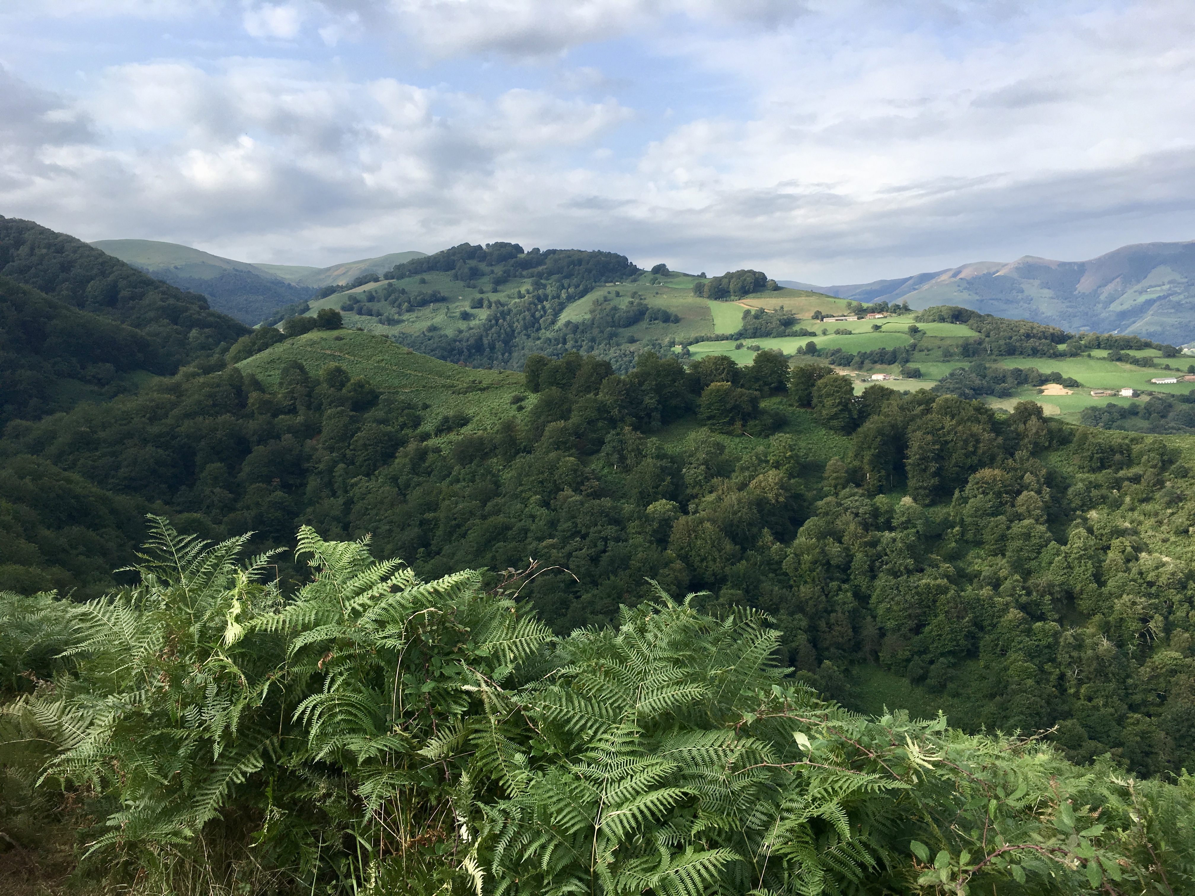 fullsizeoutput_171c0