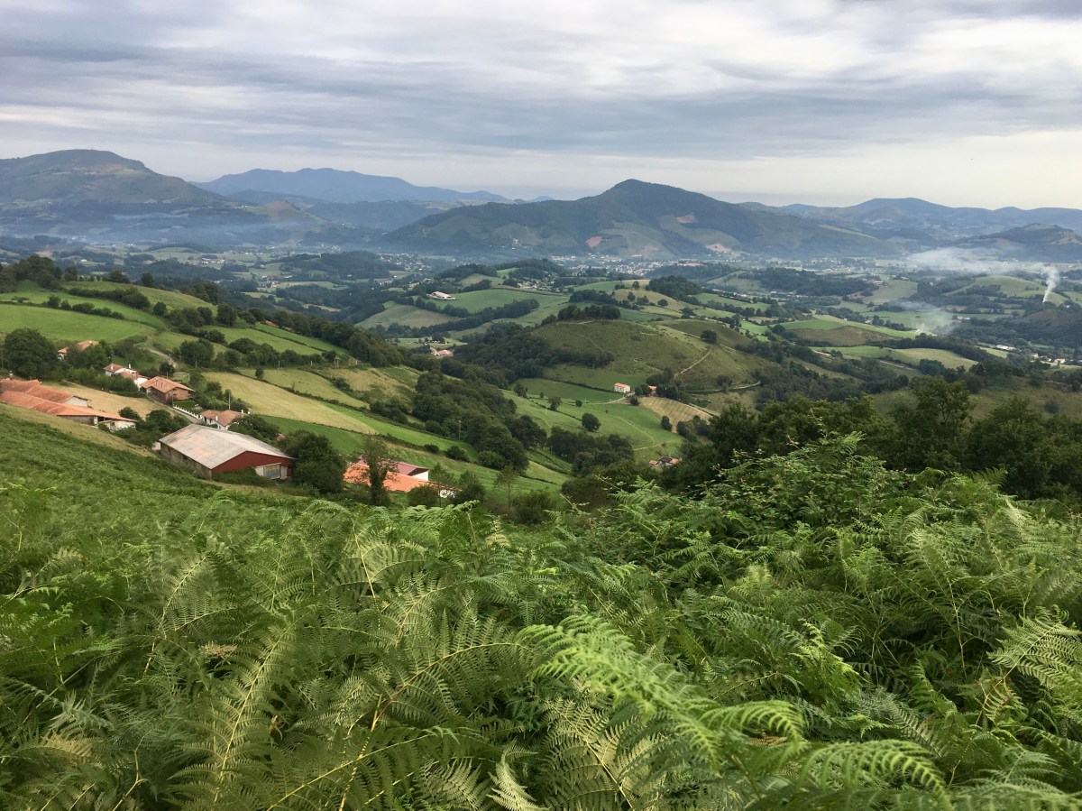 fullsizeoutput_171c6