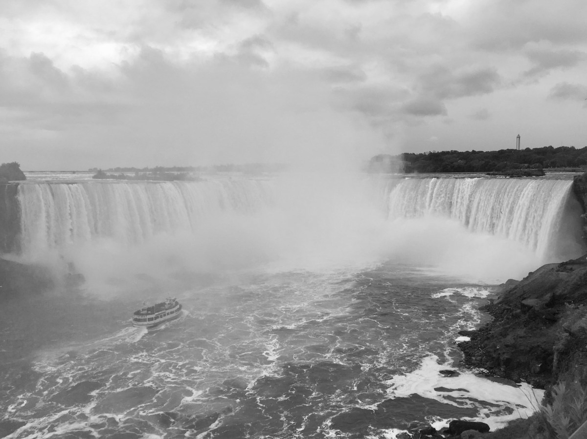 fullsizeoutput_175a5