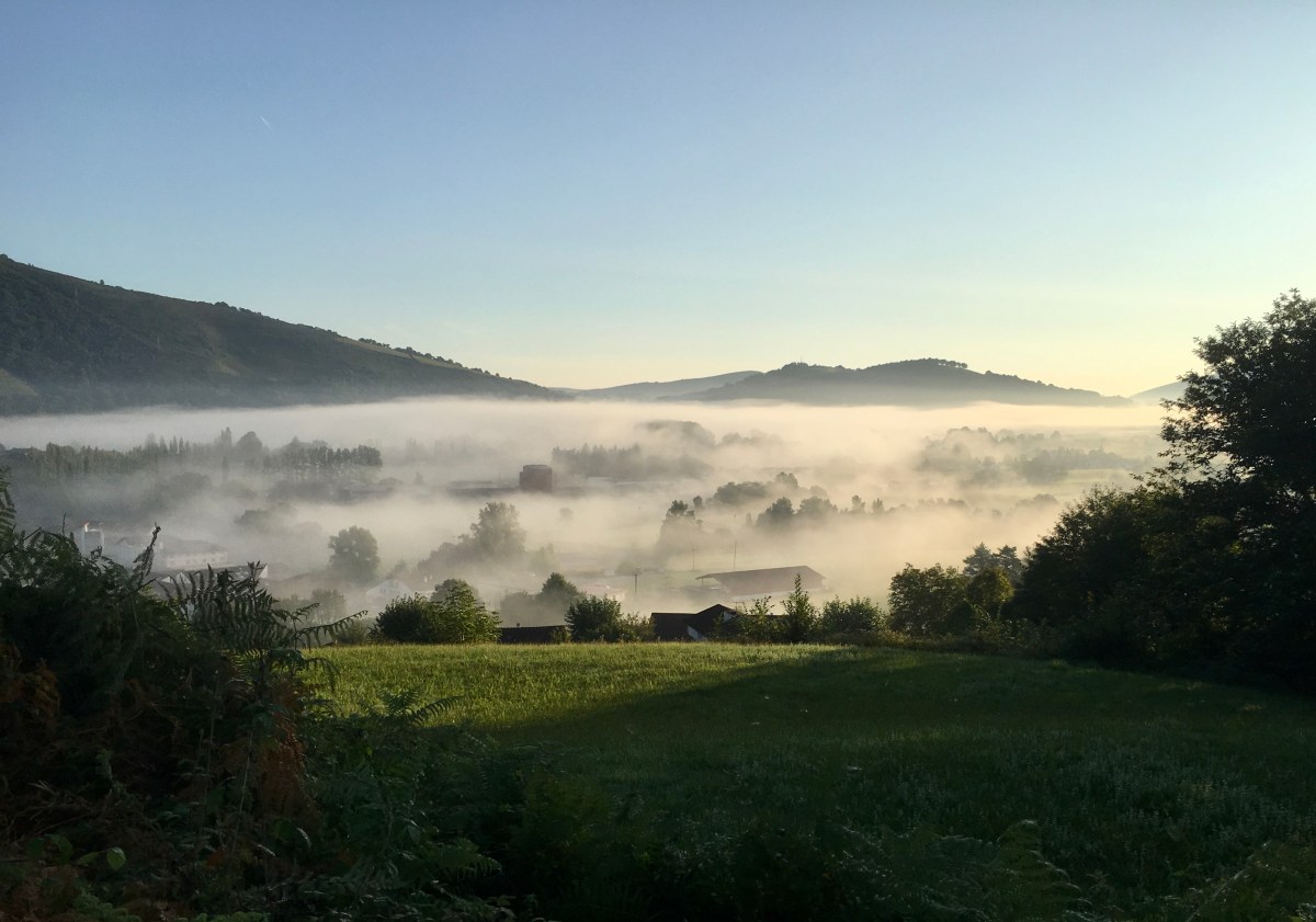 fullsizeoutput_1764a