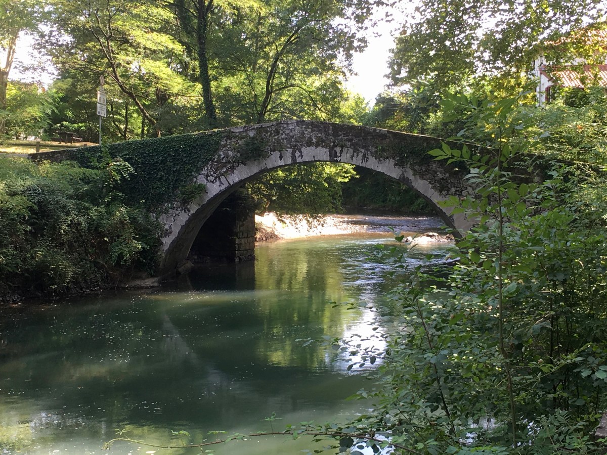 fullsizeoutput_17682