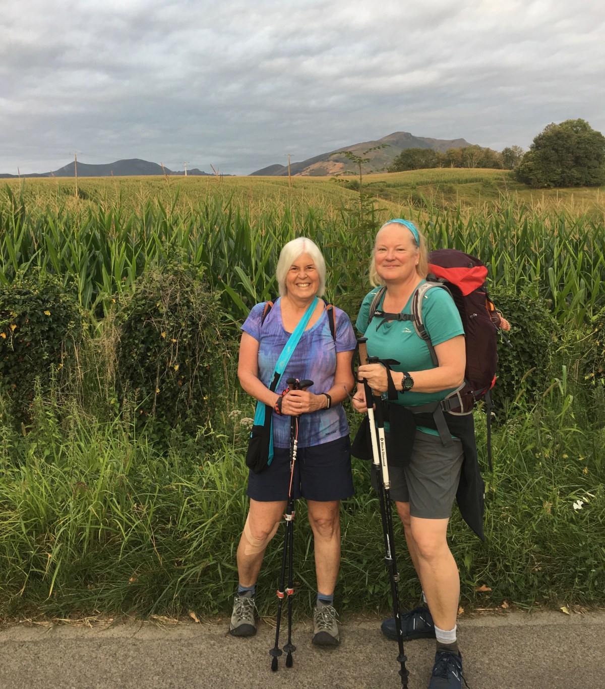 fullsizeoutput_176d5