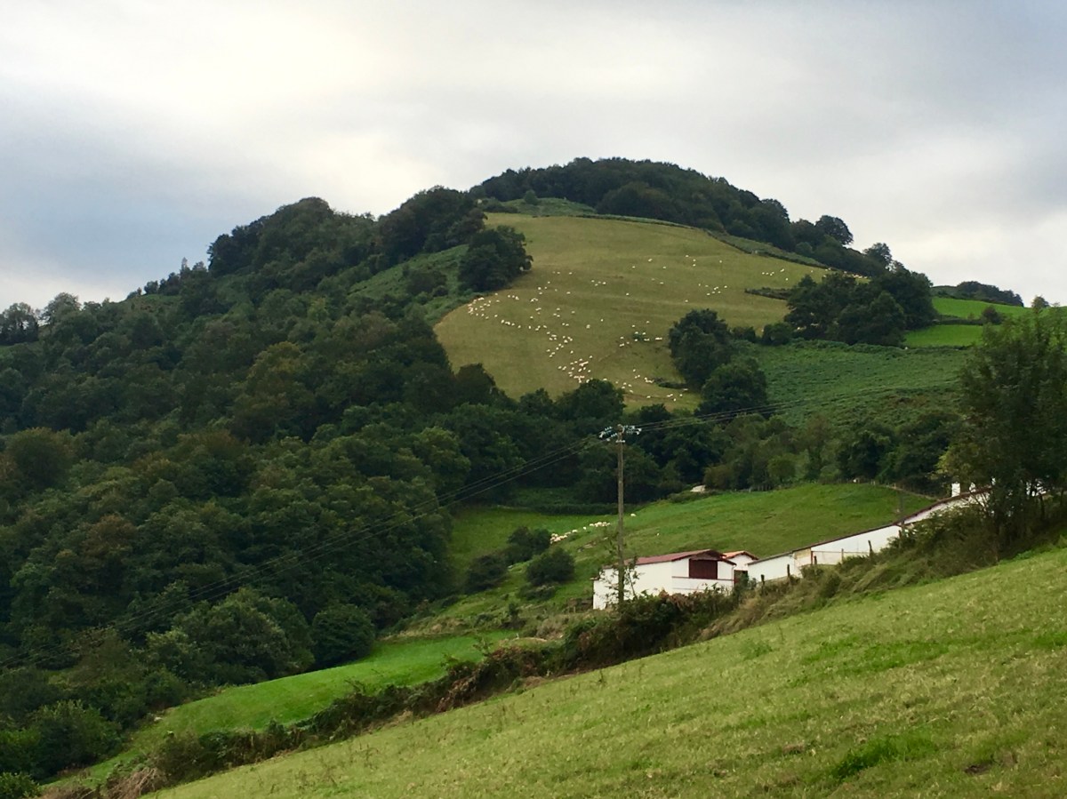 fullsizeoutput_176dd