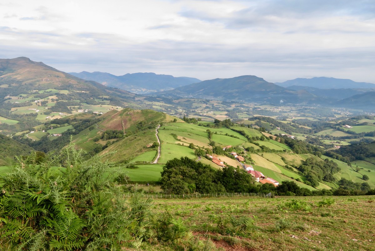 fullsizeoutput_176e6