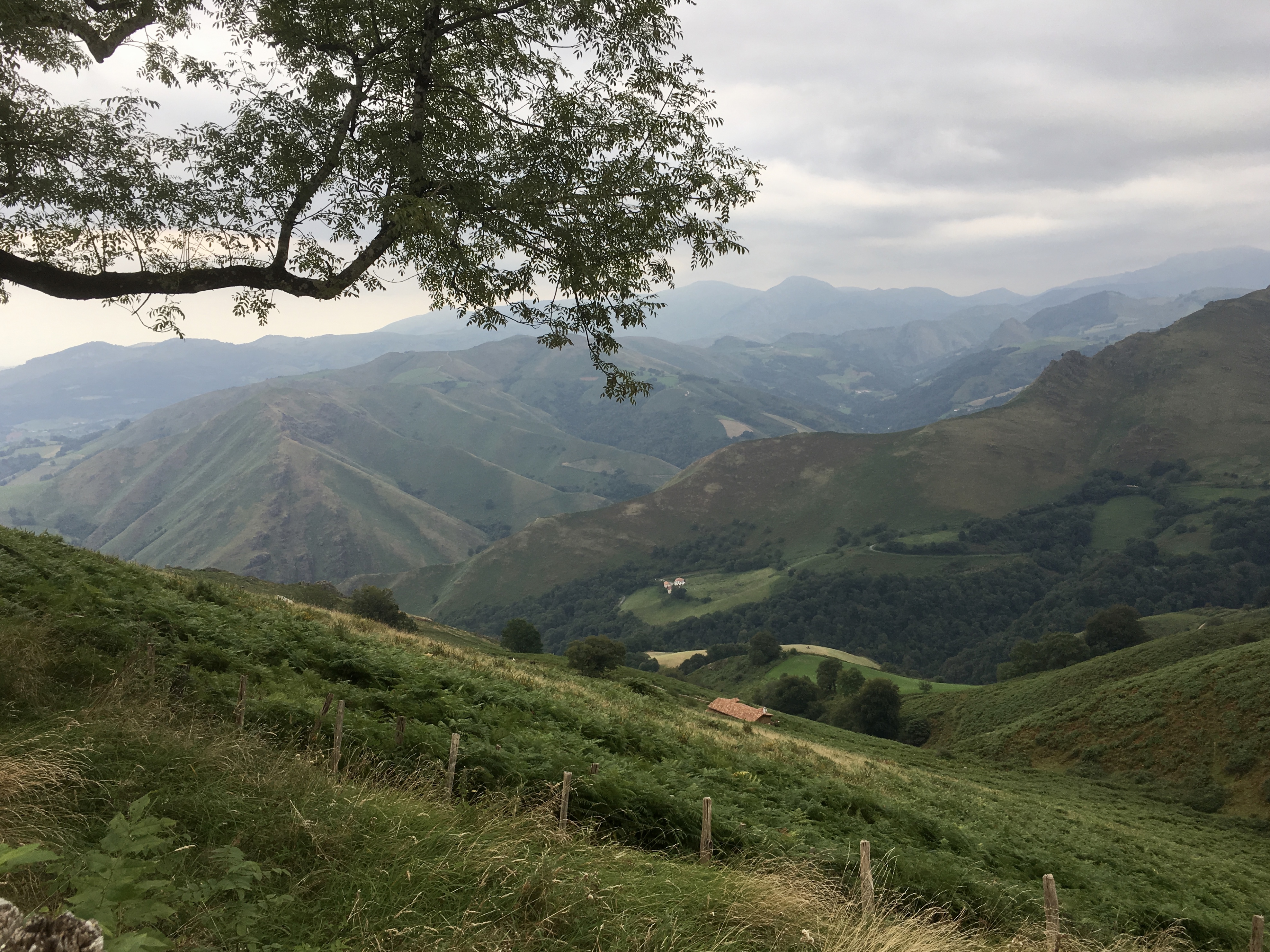 fullsizeoutput_176f3