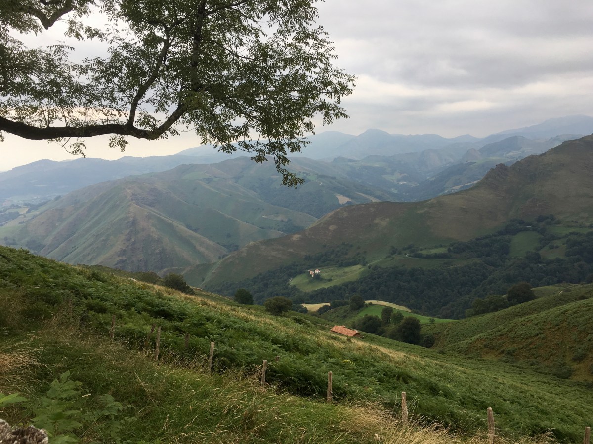 fullsizeoutput_176f3