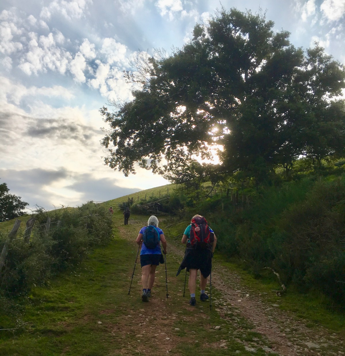 fullsizeoutput_17701