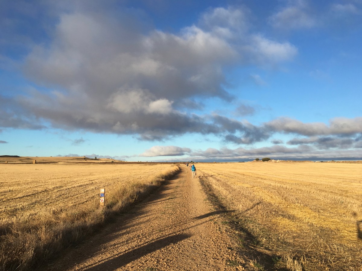 fullsizeoutput_17702