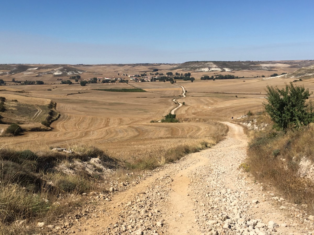 fullsizeoutput_17703