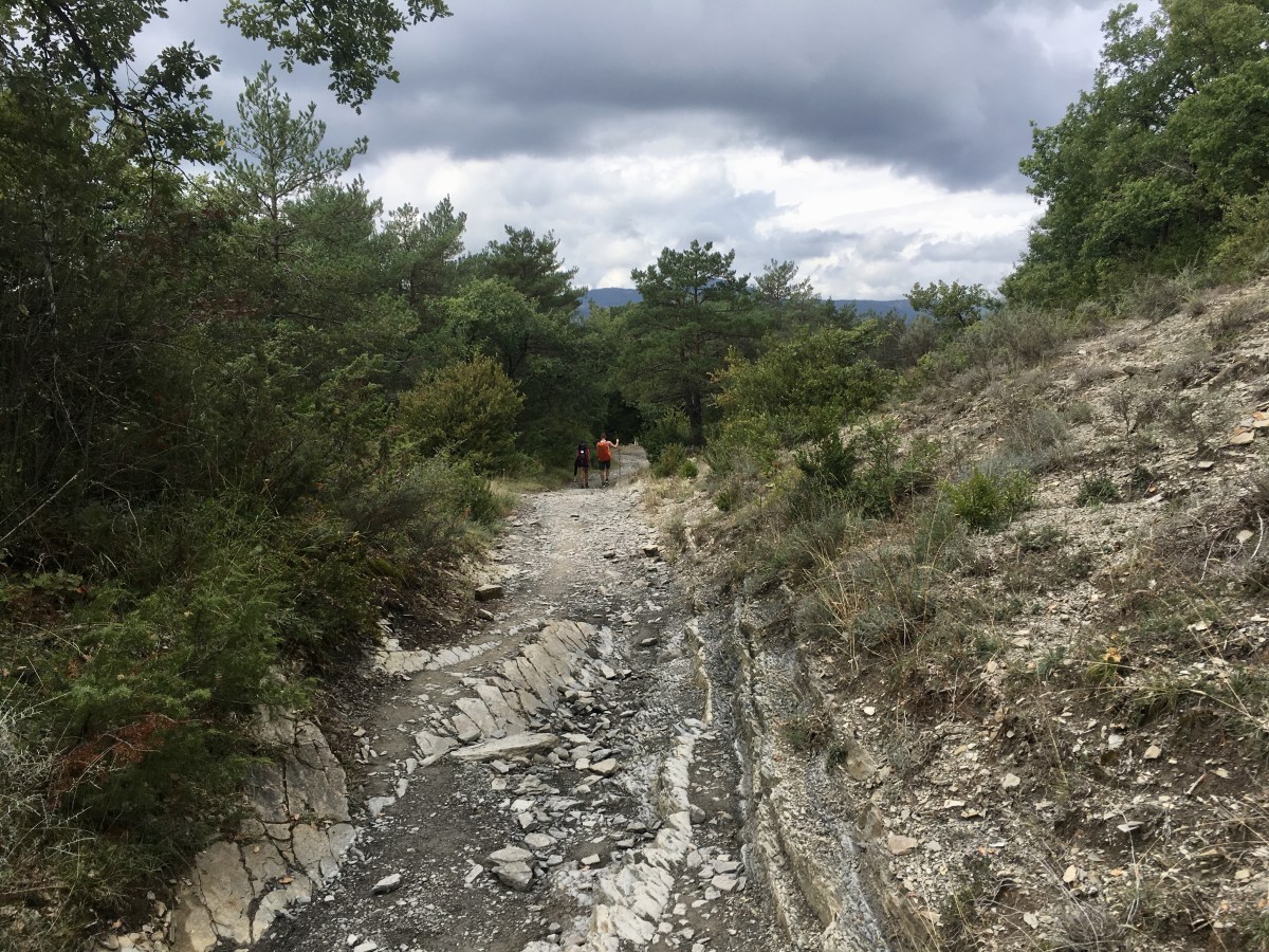 fullsizeoutput_1717b