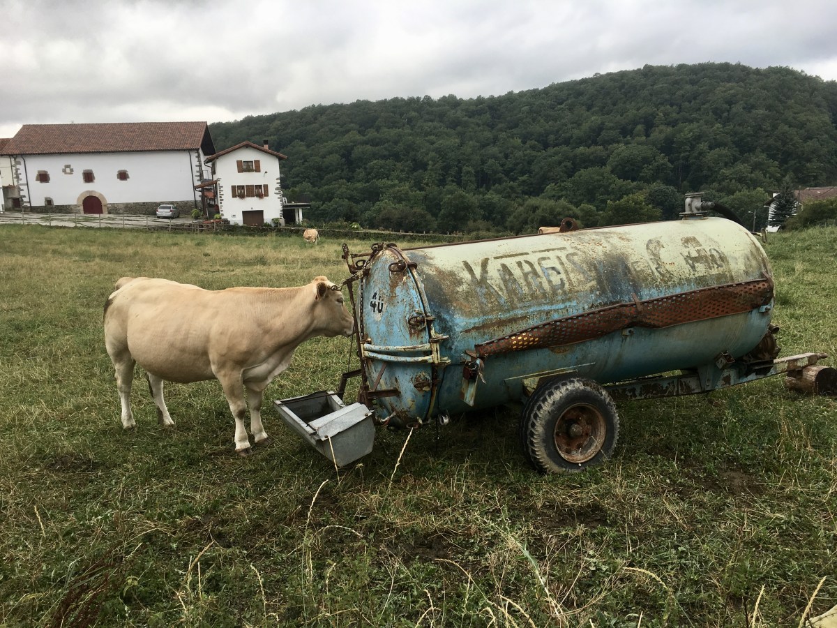 fullsizeoutput_171a3