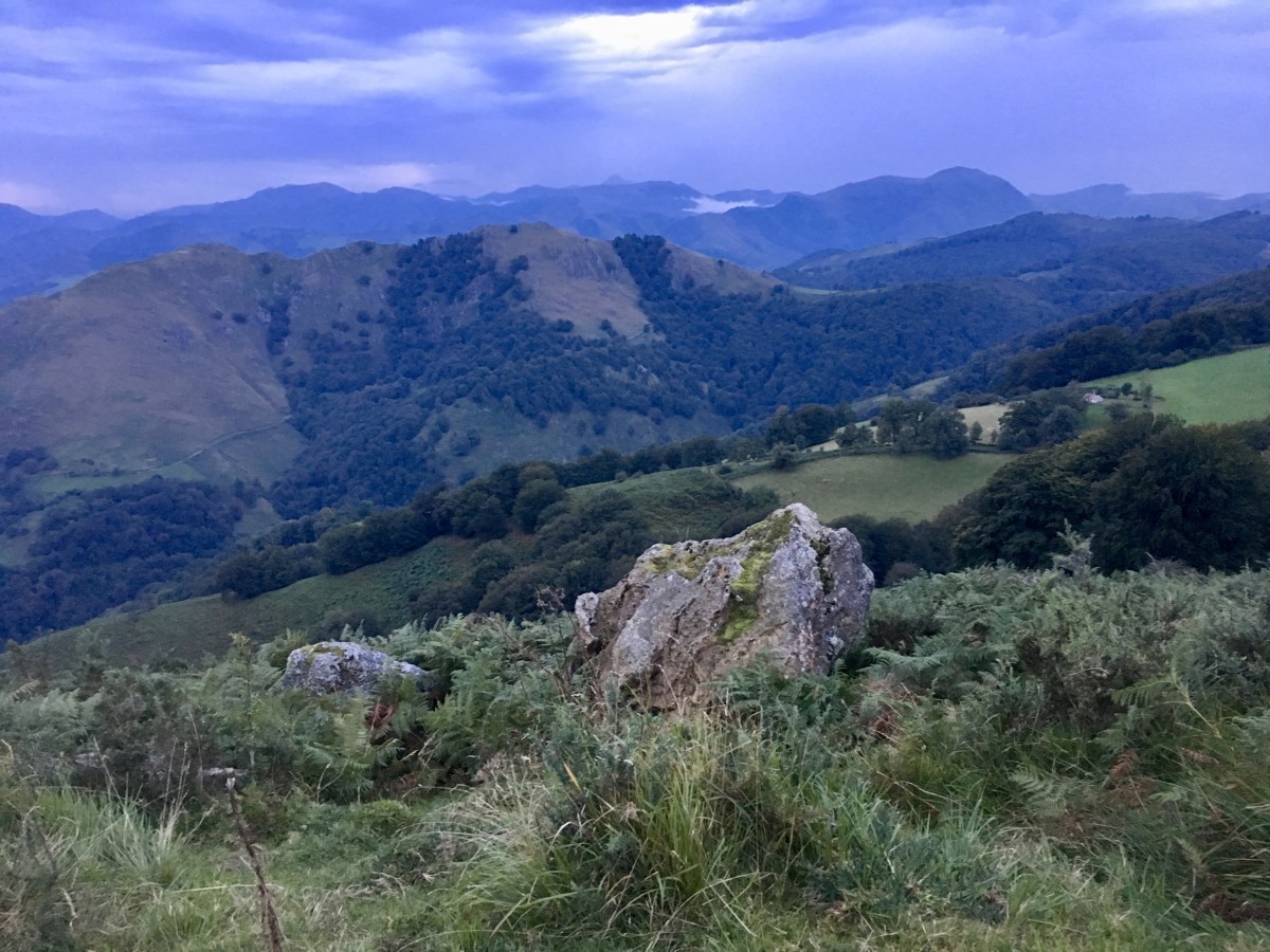 fullsizeoutput_171ae