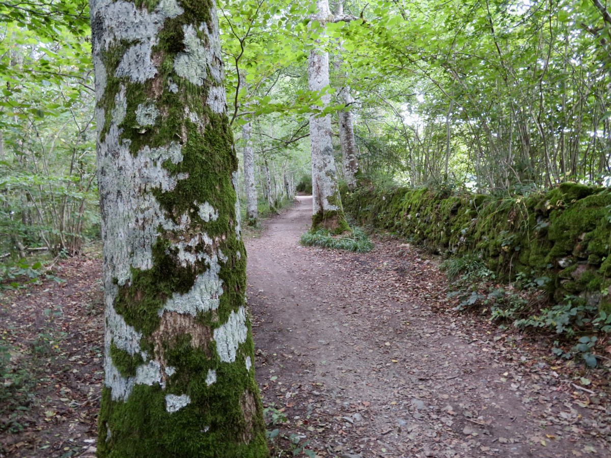 fullsizeoutput_17731