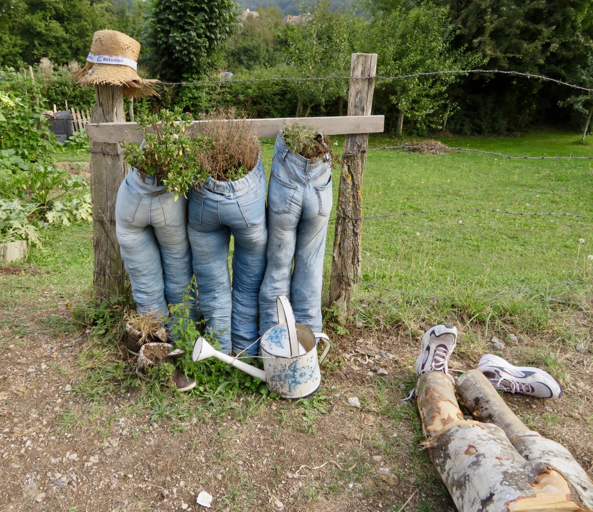 fullsizeoutput_17736