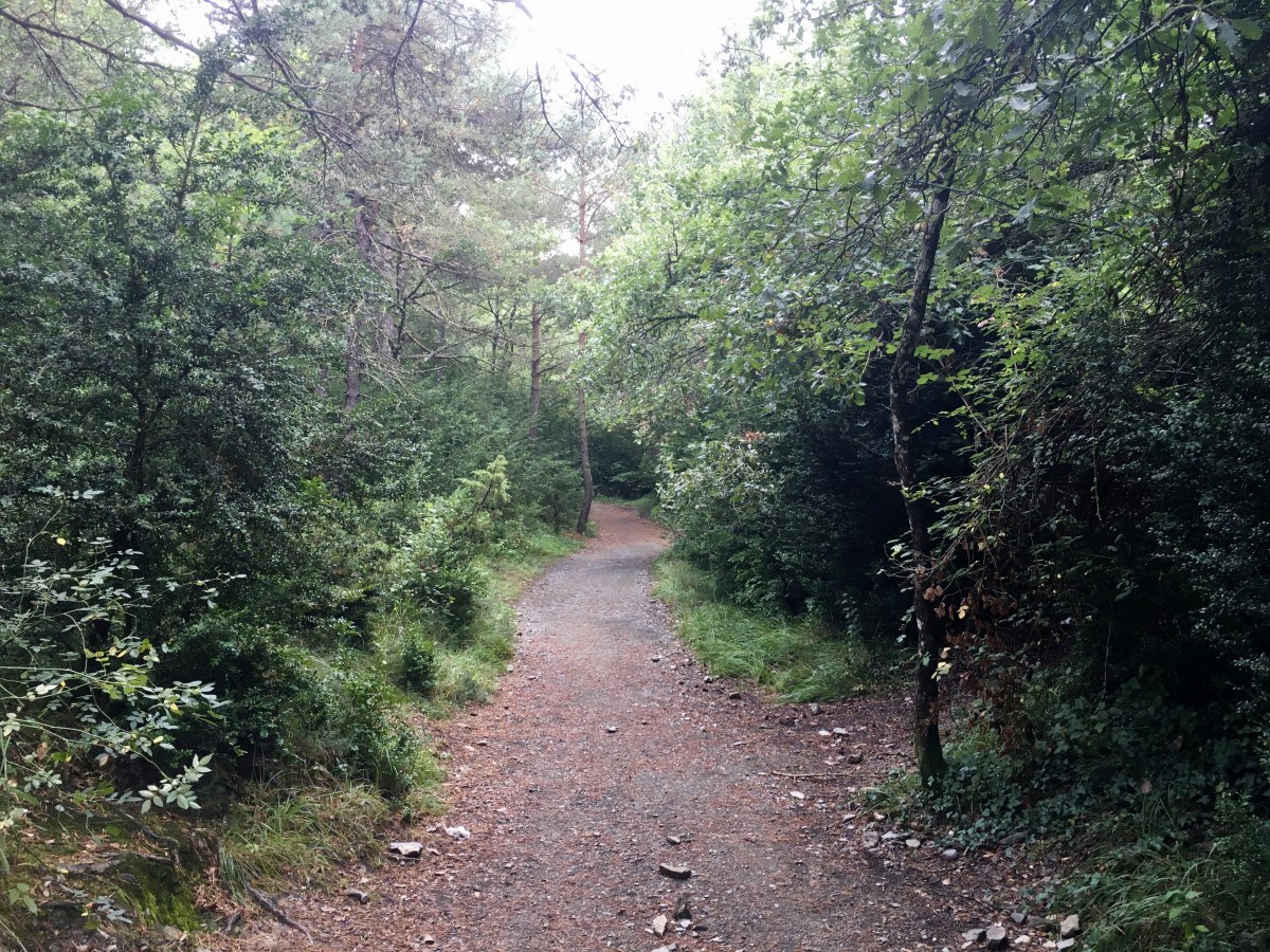 fullsizeoutput_1779e