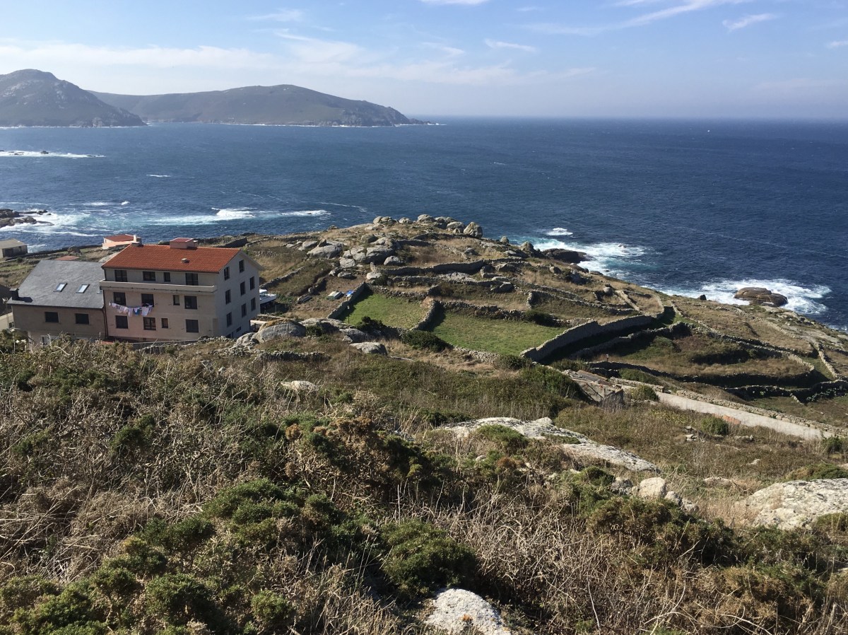 fullsizeoutput_177be