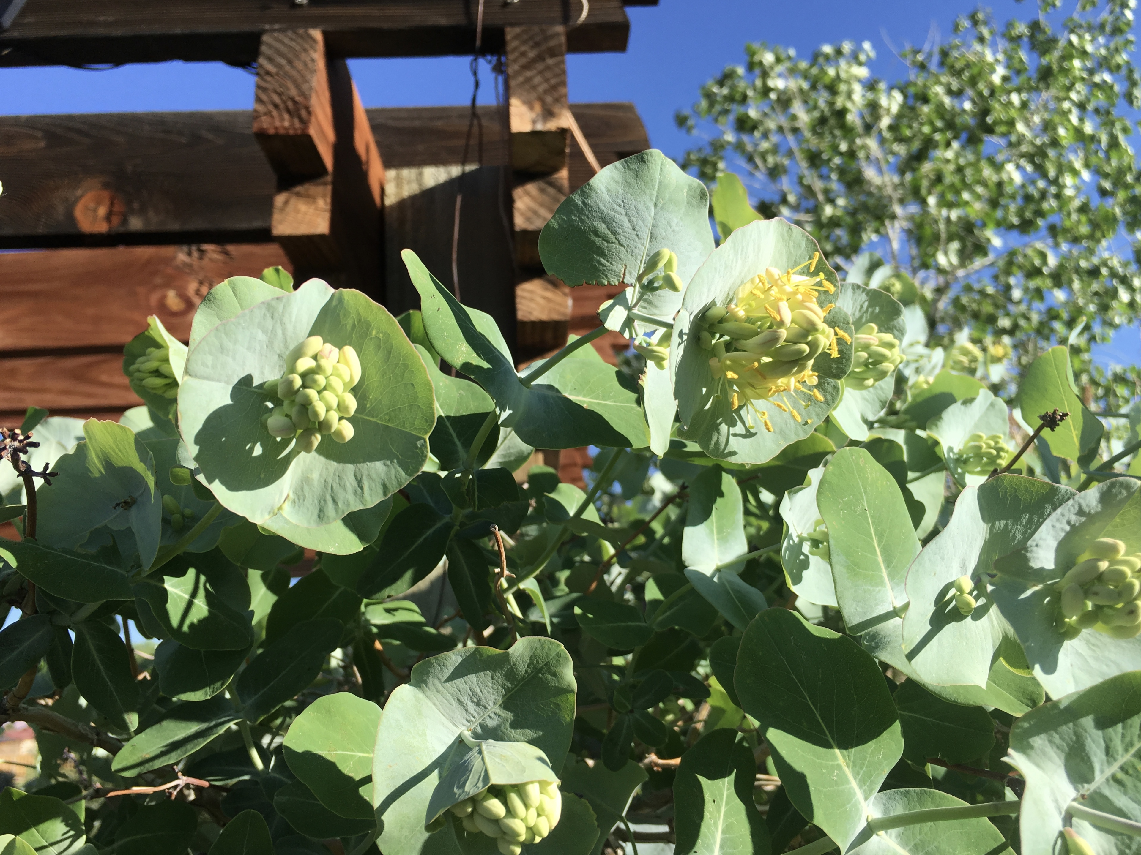 fullsizeoutput_15585