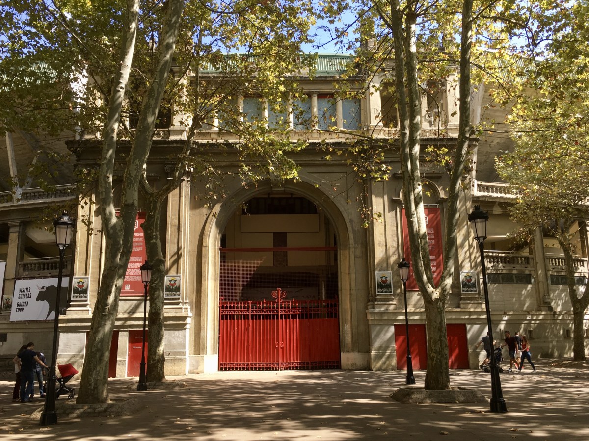 fullsizeoutput_17256