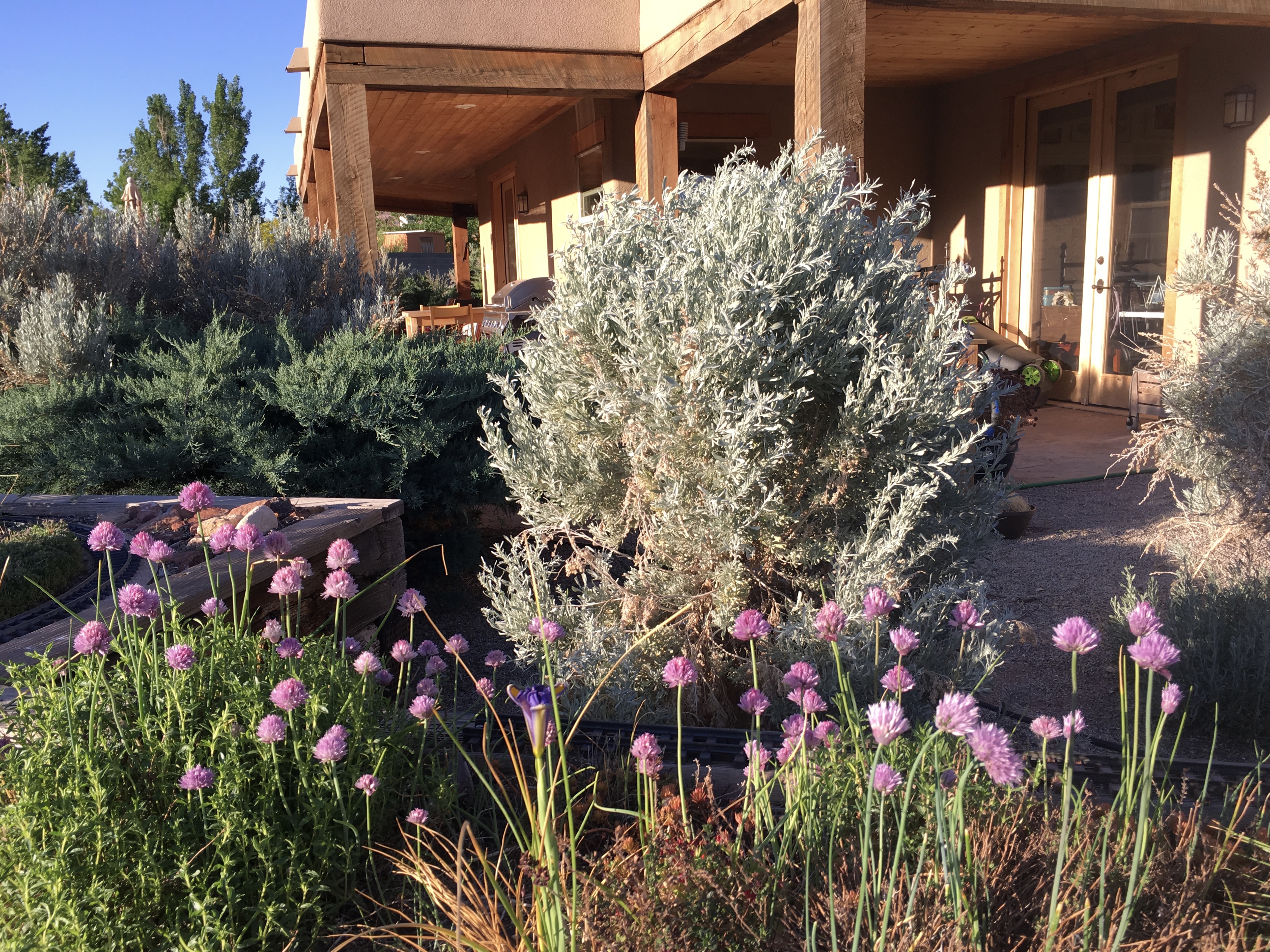 fullsizeoutput_17949