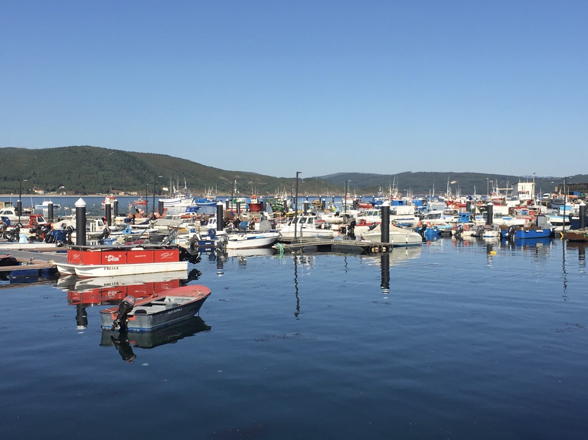 fullsizeoutput_17a15