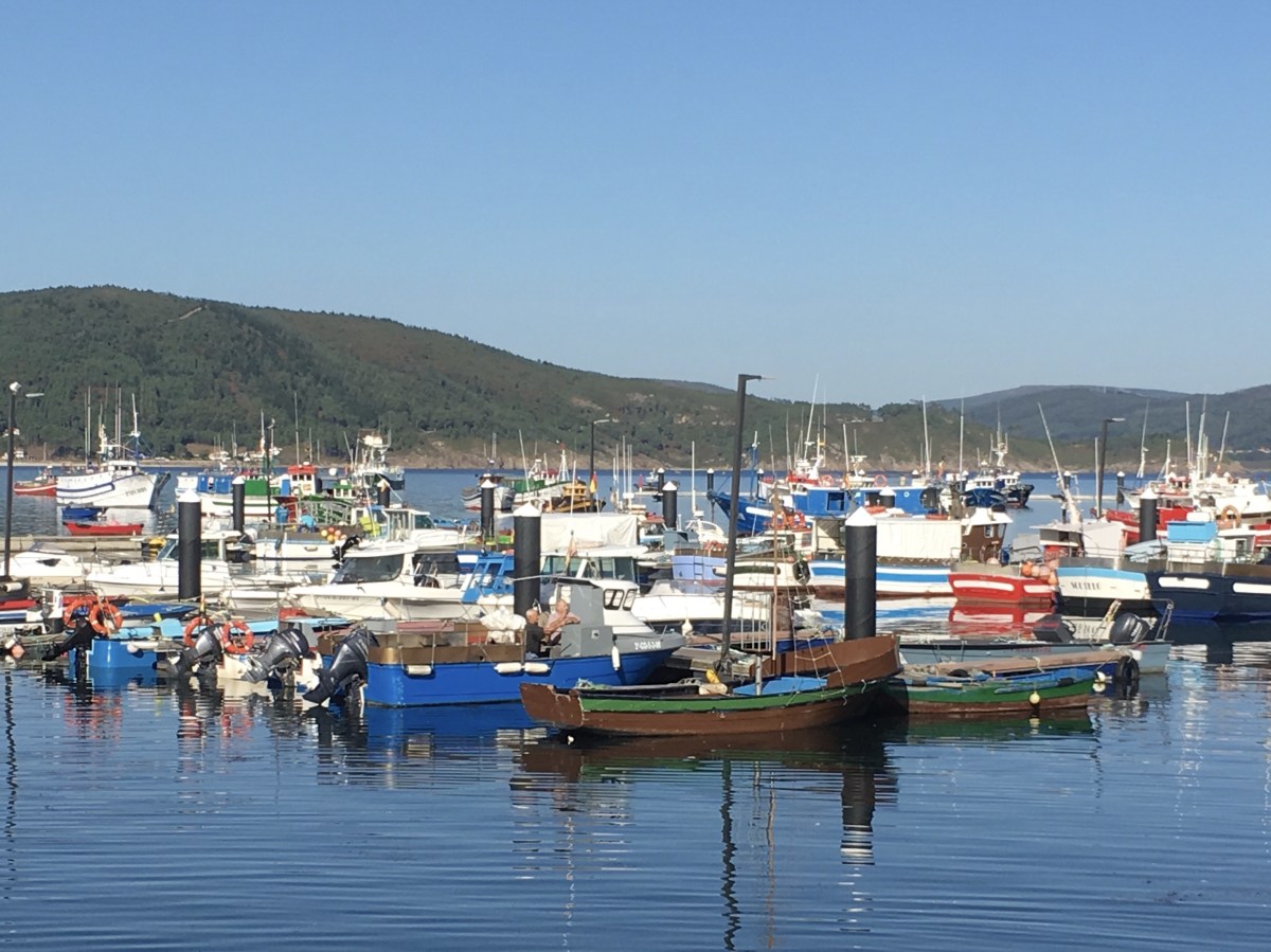 fullsizeoutput_17a17