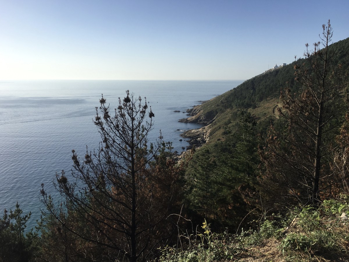 fullsizeoutput_17a3f