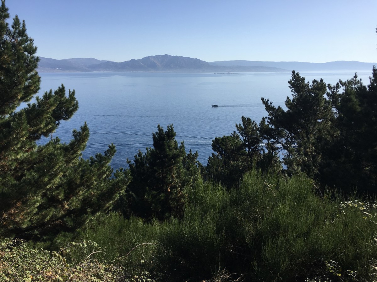 fullsizeoutput_17a65