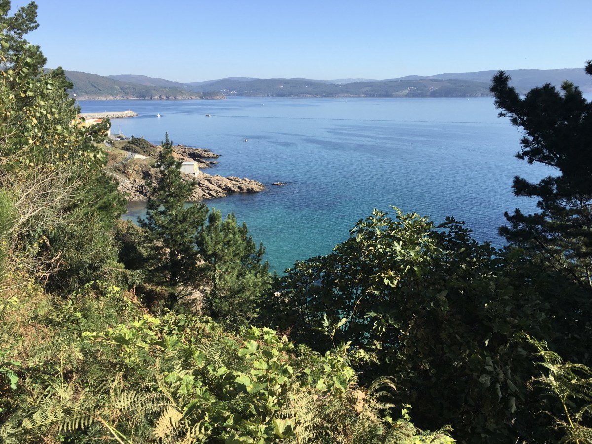 fullsizeoutput_17a66