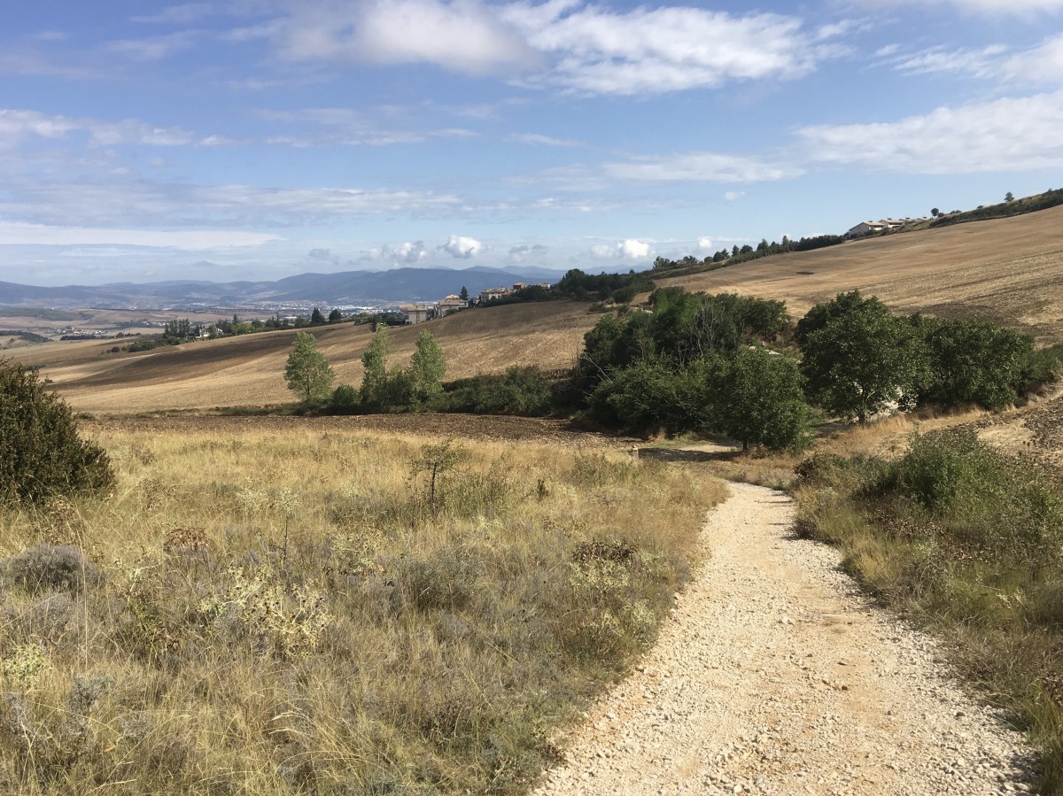 fullsizeoutput_17a9d