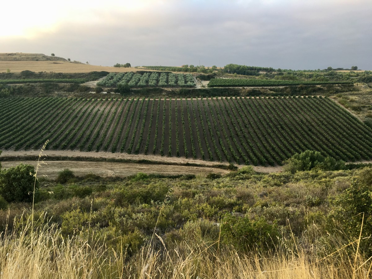 fullsizeoutput_16fb7