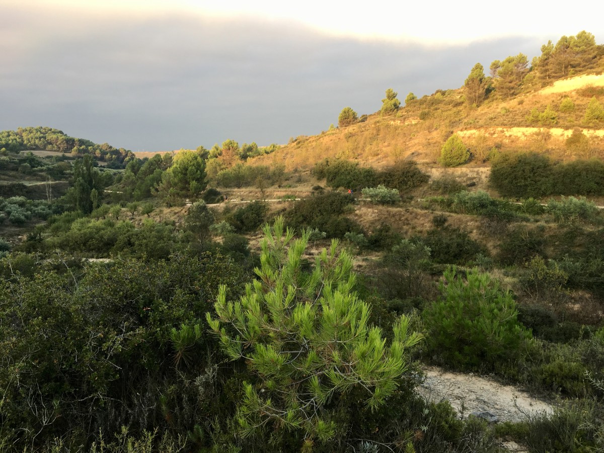 fullsizeoutput_16fb8