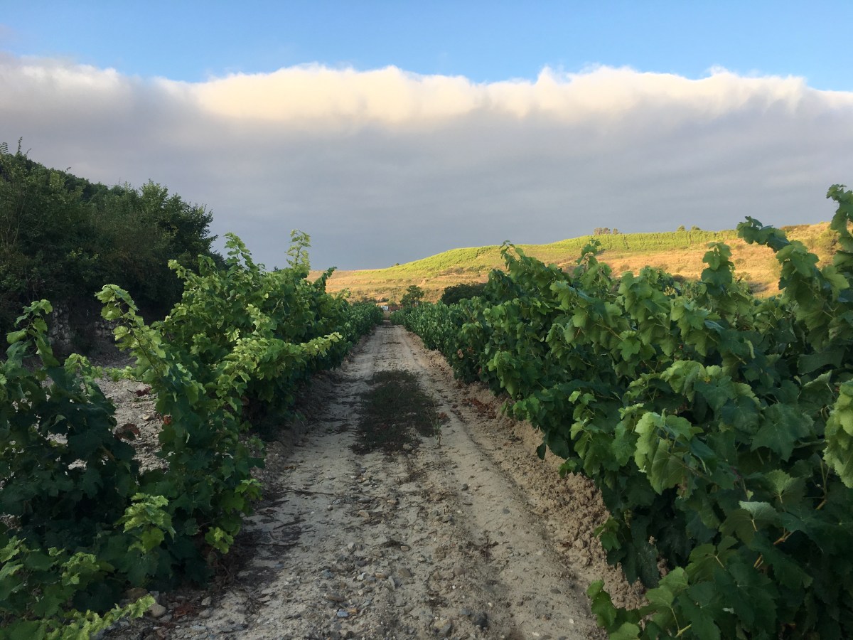 fullsizeoutput_16fbb