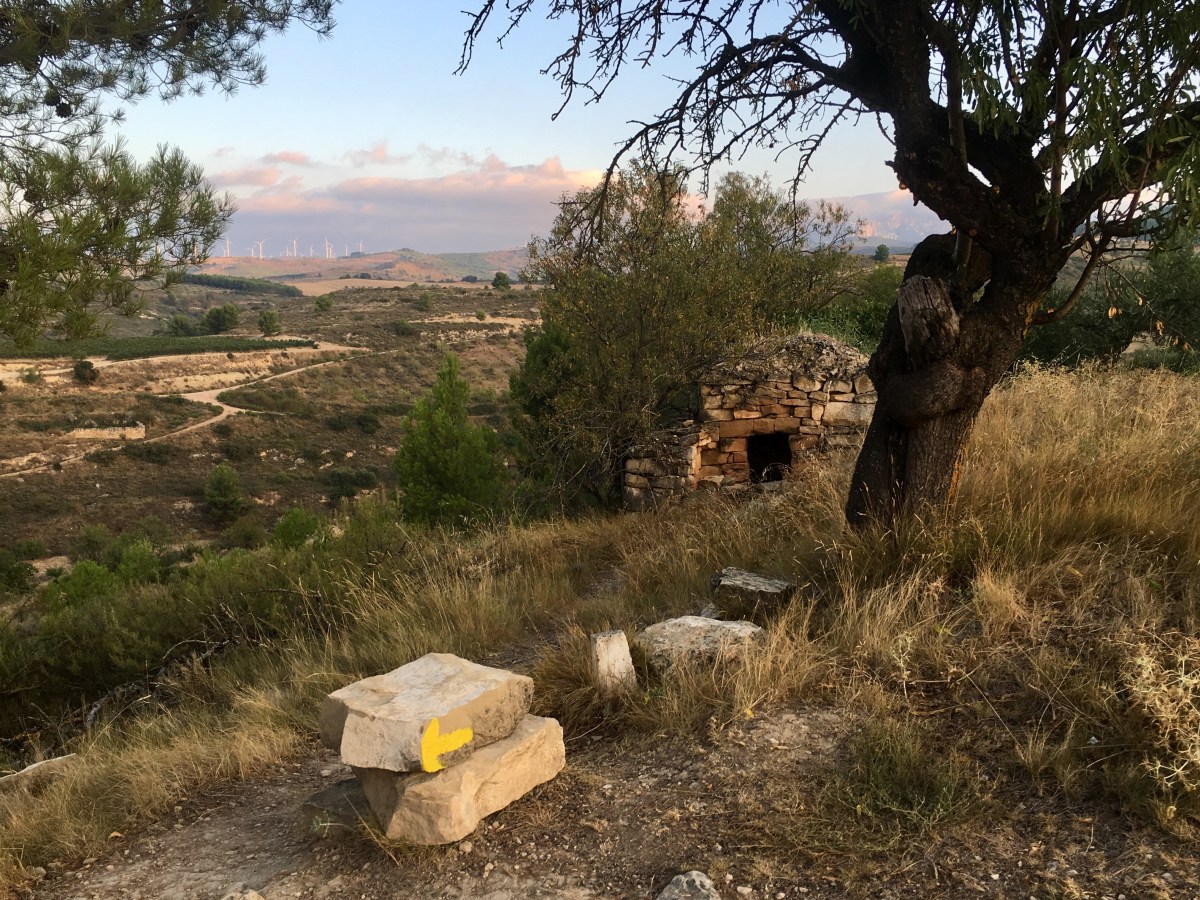 fullsizeoutput_16fc4