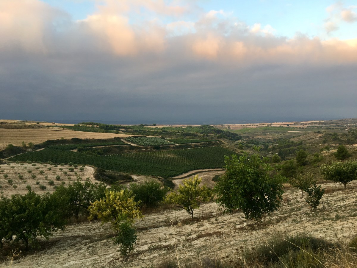 fullsizeoutput_16fd2