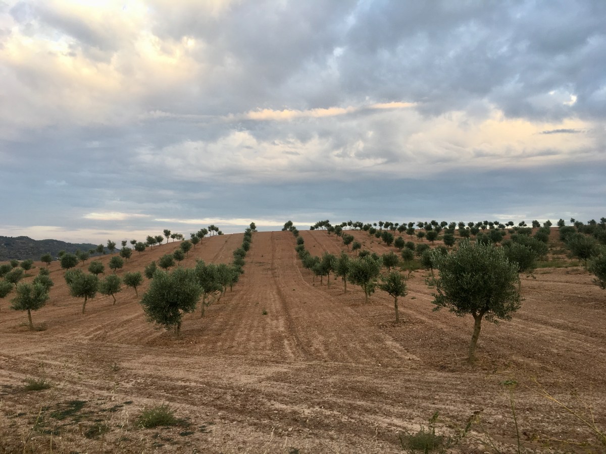 fullsizeoutput_16ffe