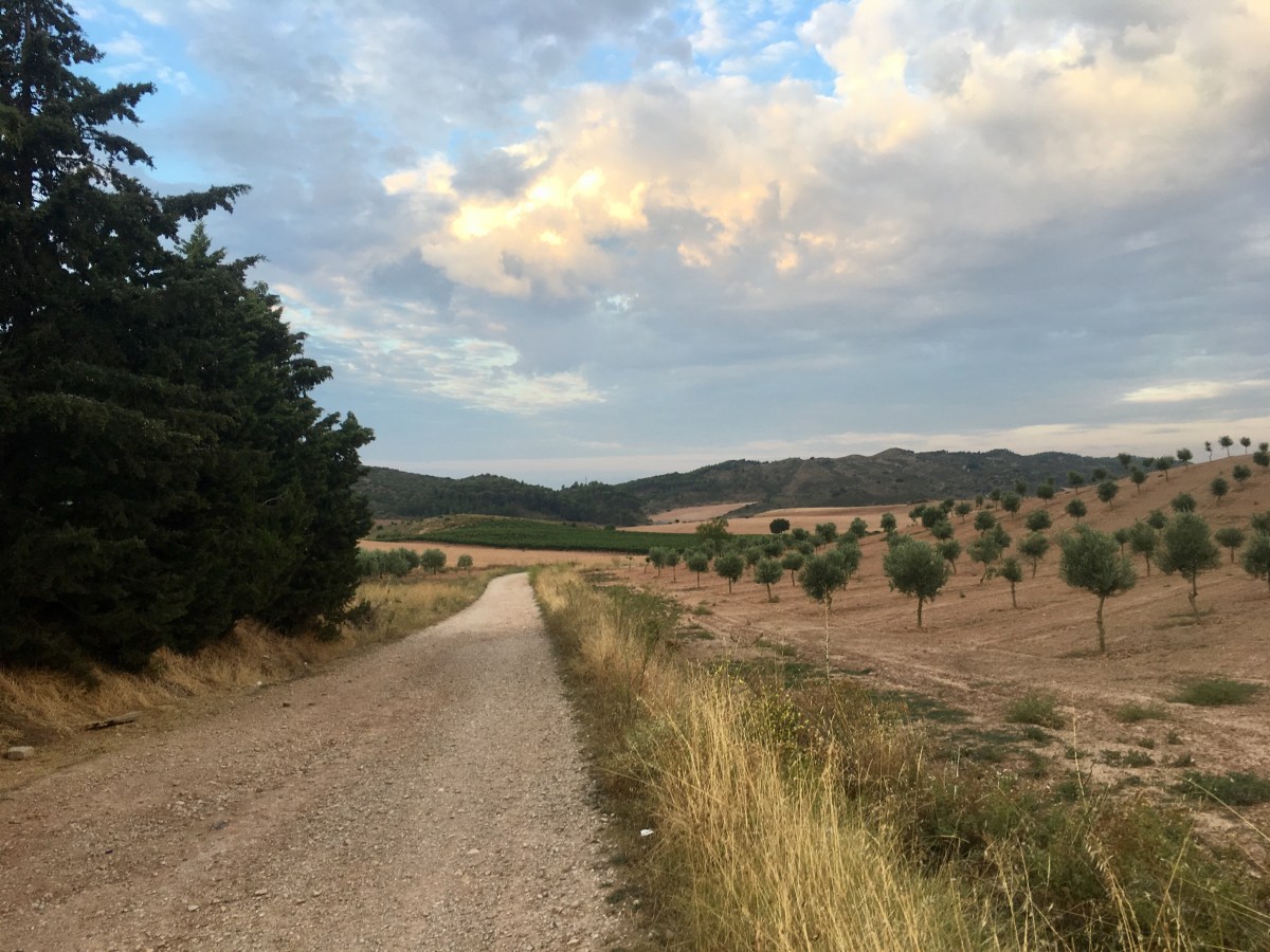 fullsizeoutput_17005