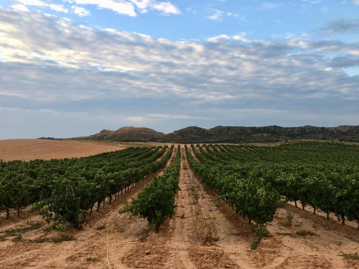 fullsizeoutput_1700d