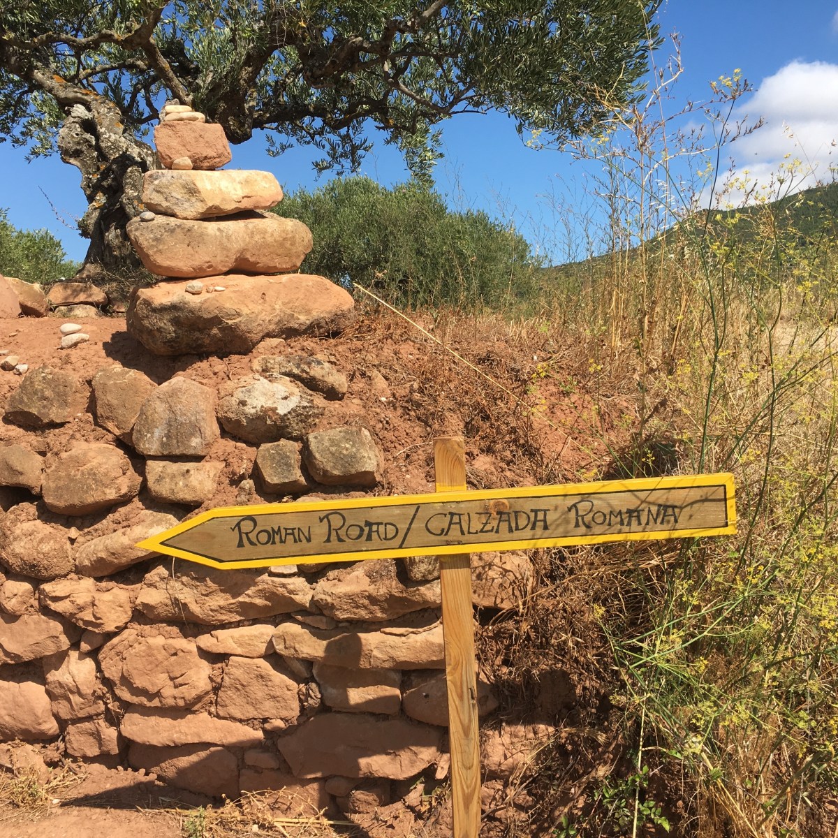 fullsizeoutput_1703f