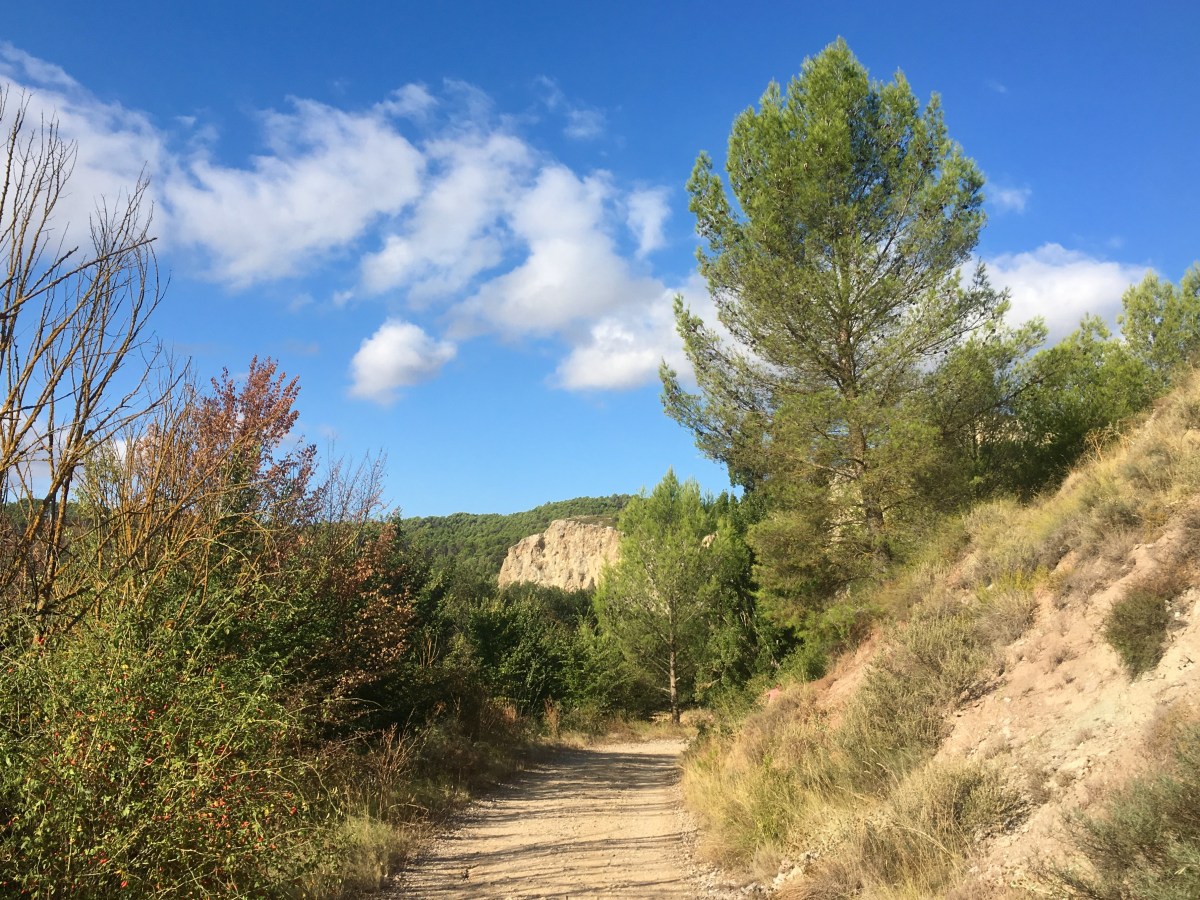 fullsizeoutput_17046