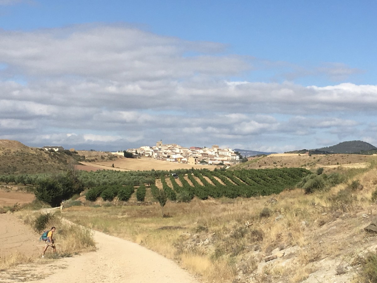 fullsizeoutput_1773d