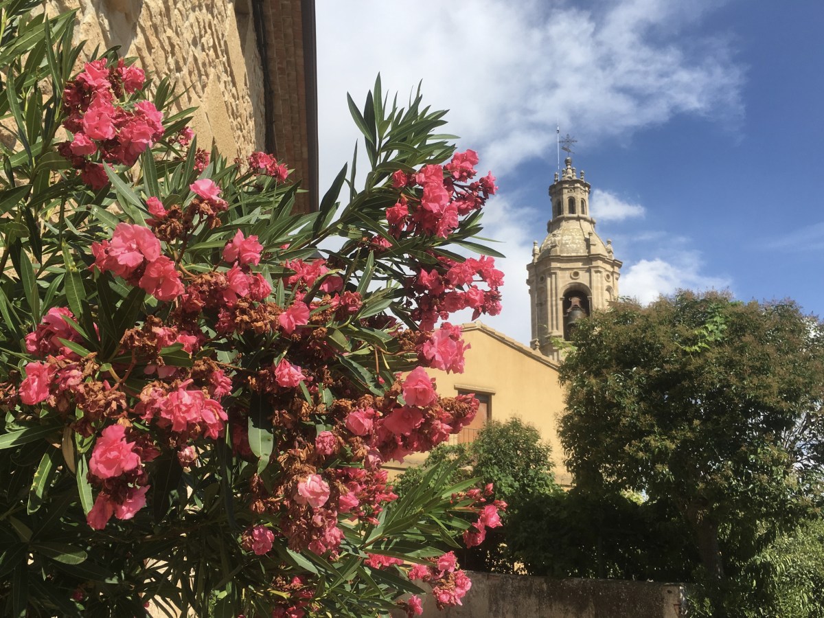 fullsizeoutput_1773e