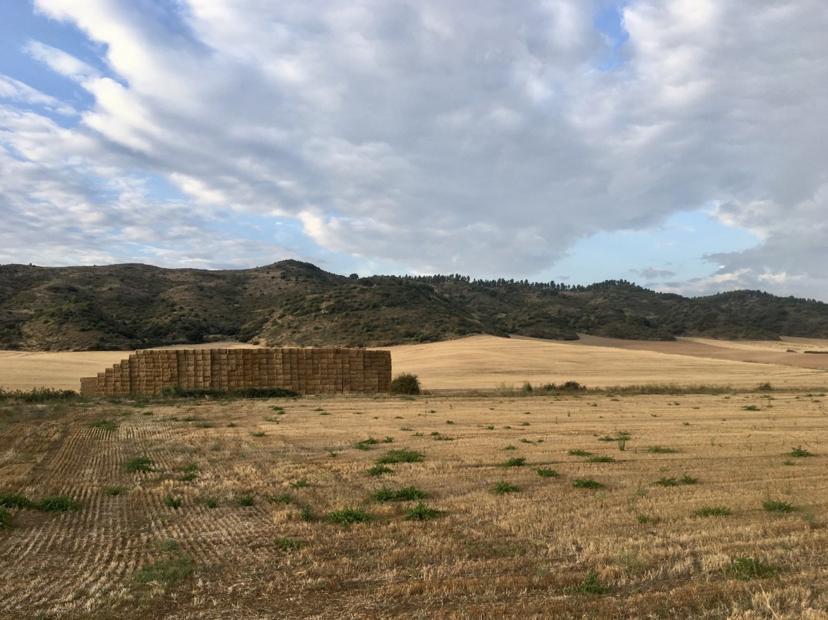 fullsizeoutput_1800d