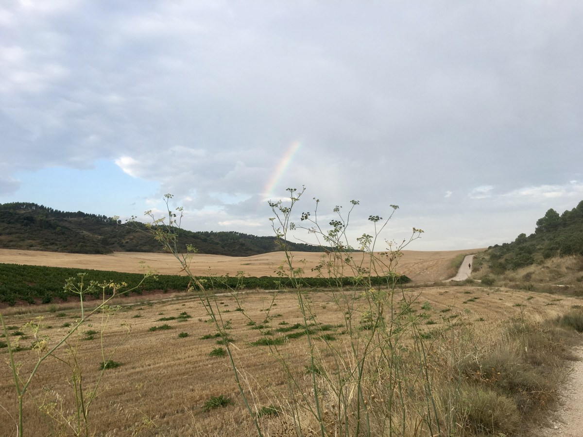 fullsizeoutput_18010