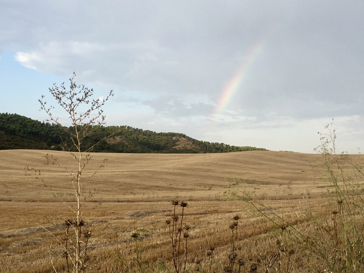 fullsizeoutput_18011